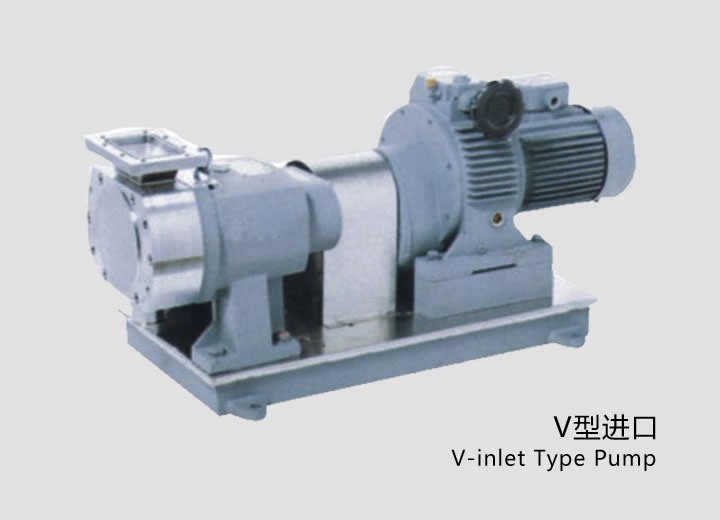 凸輪式轉子(zǐ)泵