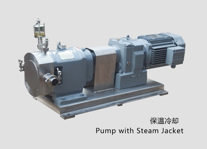 凸(tū)輪式轉(zhuan)子泵