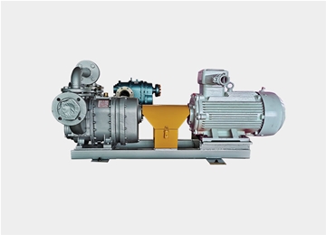 TXB橡膠轉(zhuan)子泵